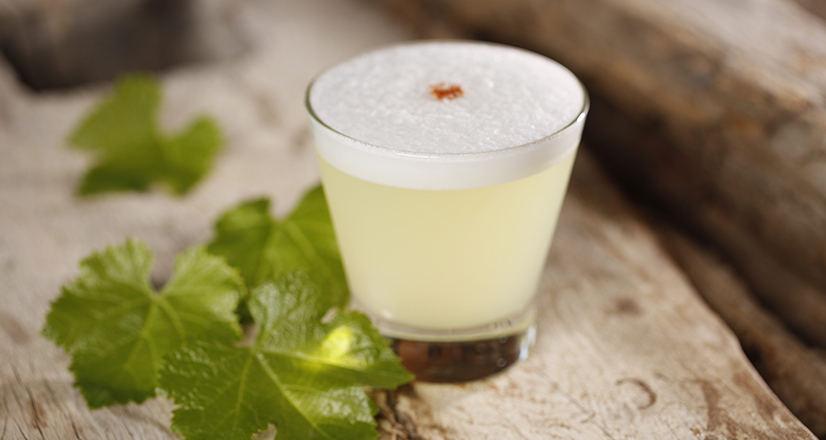 Paracas se prepara para celebrar el Día del Pisco Sour Portal de