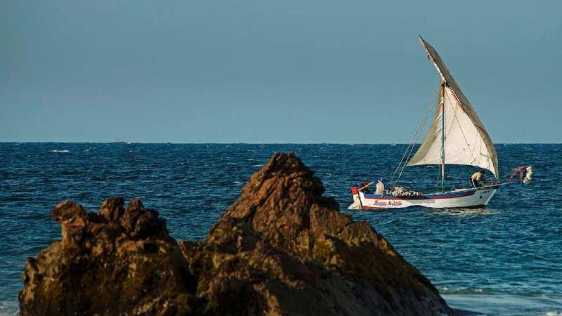 Descubre la importancia de la creación de la Reserva Mar Tropical de ...